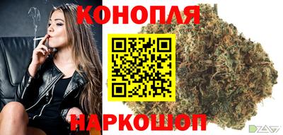 тгк Гай