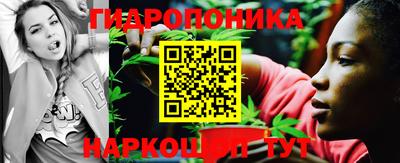 меф Гатчина