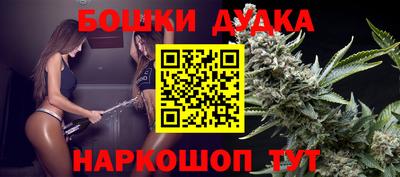 меф Гатчина