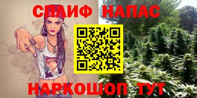 тгк Гай