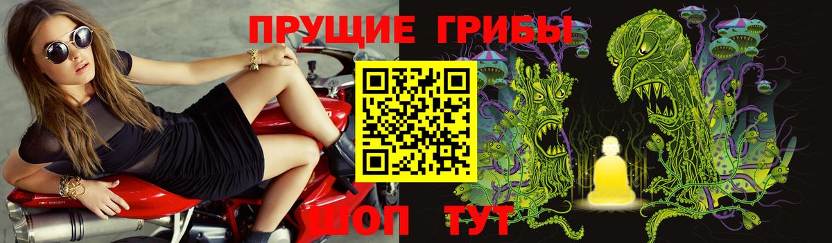 Псилоцибиновые грибы ЛСД  Вход с VPN  Павлово 